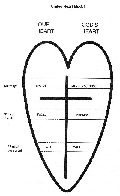 United Heart Model